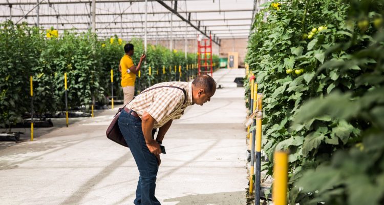 ExpoAgro Canarias – Visita técnica
