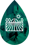 ICONO visita técnica peq